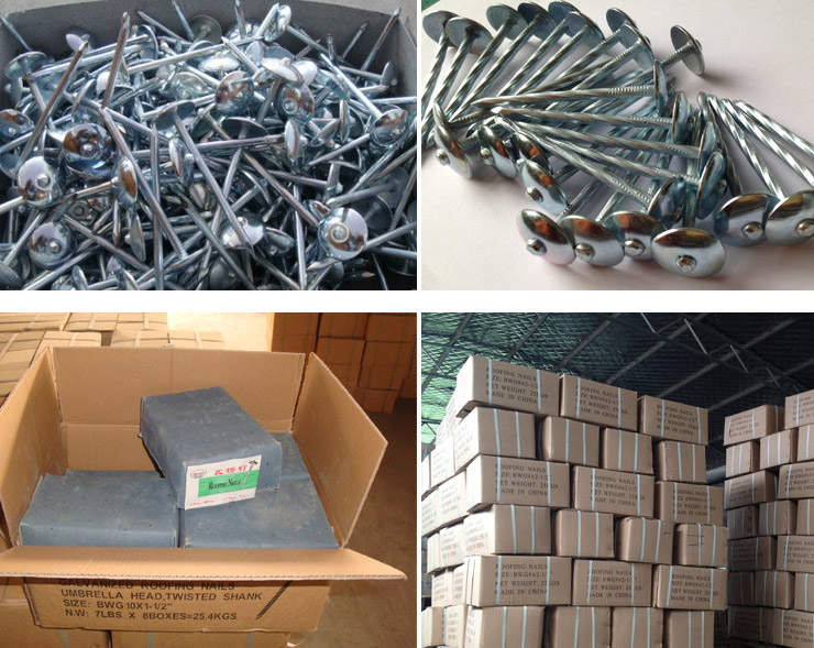 Galvanized Roofing Nails